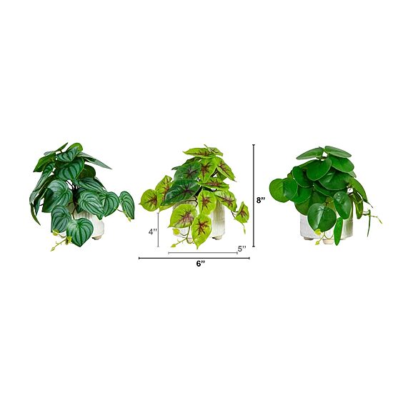 Nearly Natural 3-pc. 8in. Green Mixed Greens Artificial Plant