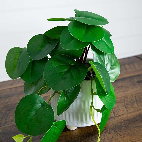 Nearly Natural 3-pc. 8in. Green Mixed Greens Artificial Plant