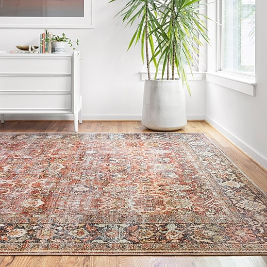 Loloi Layla Indoor Rectangular Accent Rug