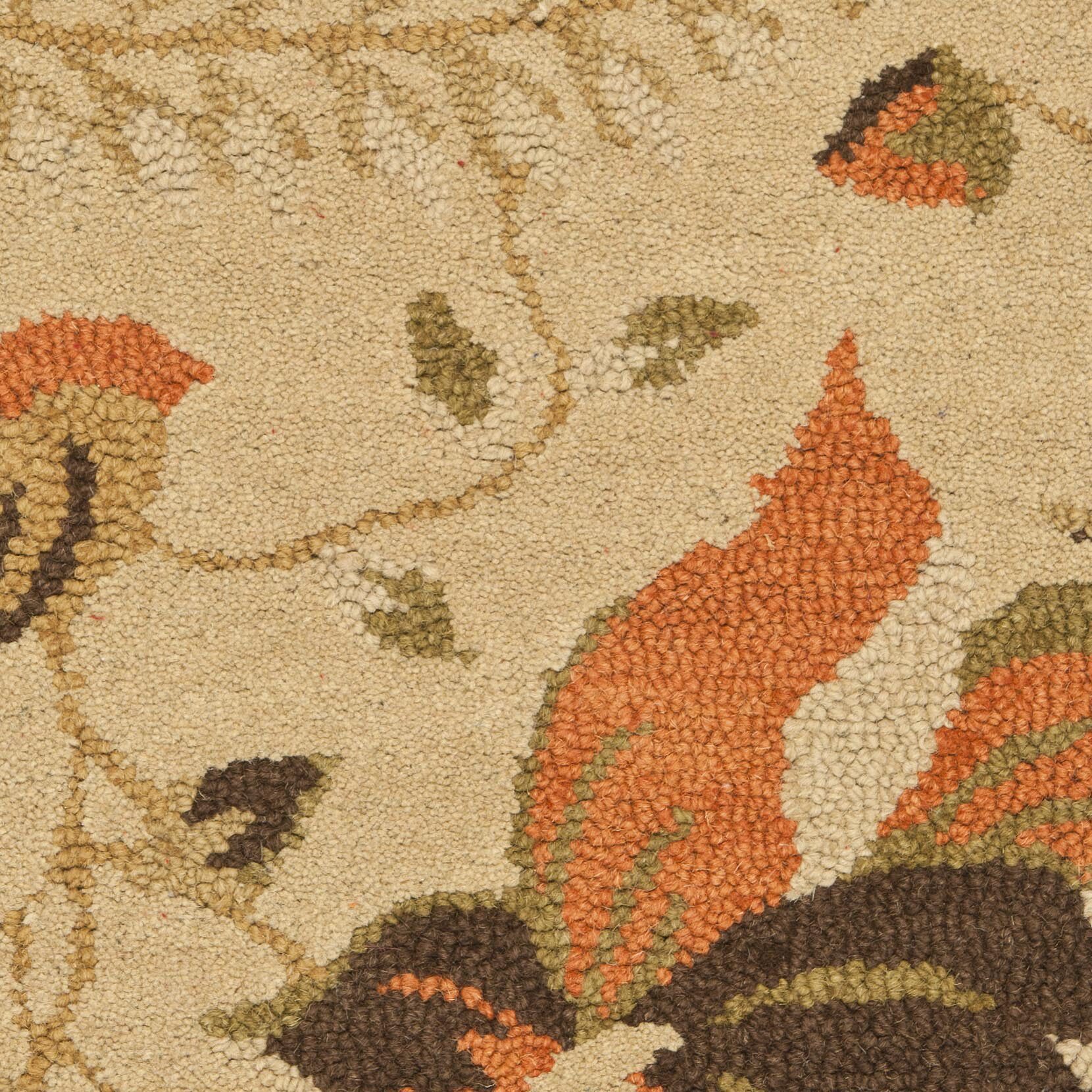 Safavieh Rana Hand Hooked Area Rug