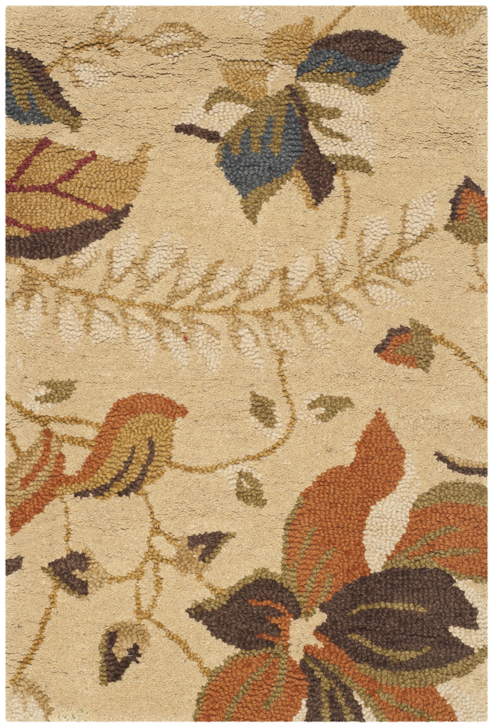 Safavieh Rana Hand Hooked Area Rug