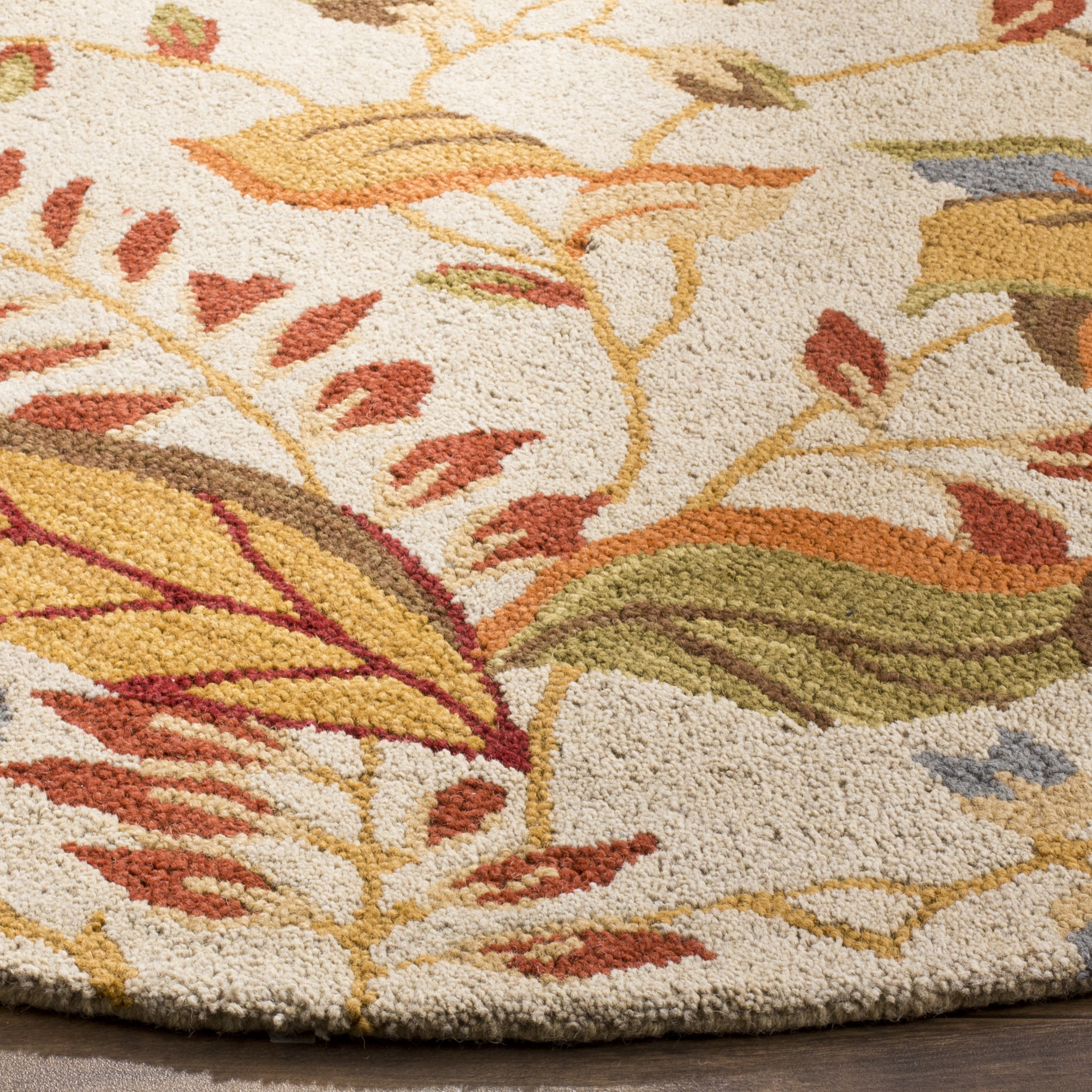 Safavieh Rana Hand Hooked Area Rug