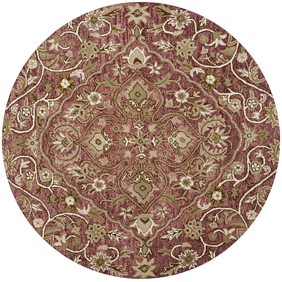 Safavieh Idonea Hand Tufted Area Rug