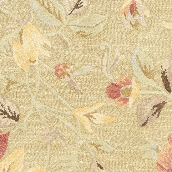 Safavieh Oraline Hand Hooked Area Rug