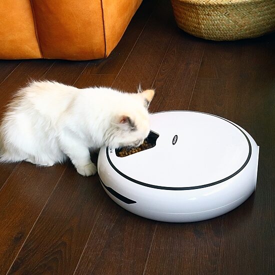Lentek Programmable Five Meal Pet Dish with Voice Message
