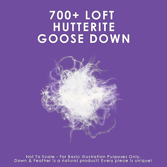 Canadian Down & Feather Company 725 Loft Hutterite White Goose Down Pillow - Firm Support