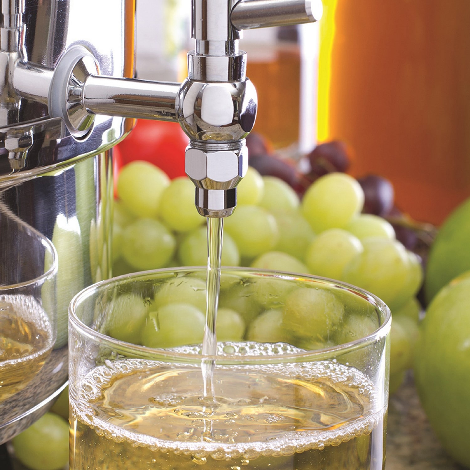 Euro Cuisine Stainless Steel Stove Top Steam Juicer