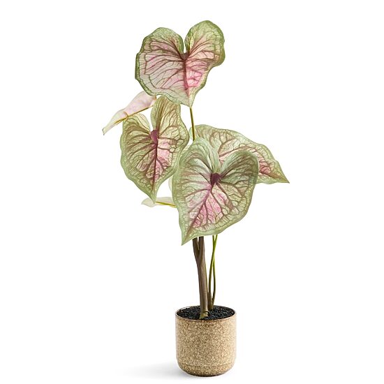 Linden Street 29in Candyland Caladium Artificial Plant
