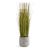 廃盤 未開封✨ エラドフランス ワイルドプラネット 50ml Linden Street 29in Lemongrass Artificial Plant, Color: Green