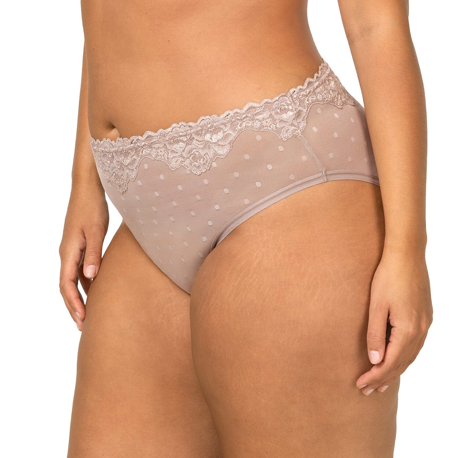 Curvy Couture Sheer Whisper High Cut Brief Panty-1608