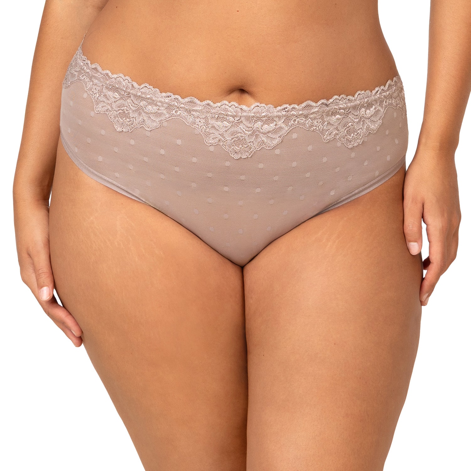 Curvy Couture Sheer Whisper High Cut Brief Panty-1608