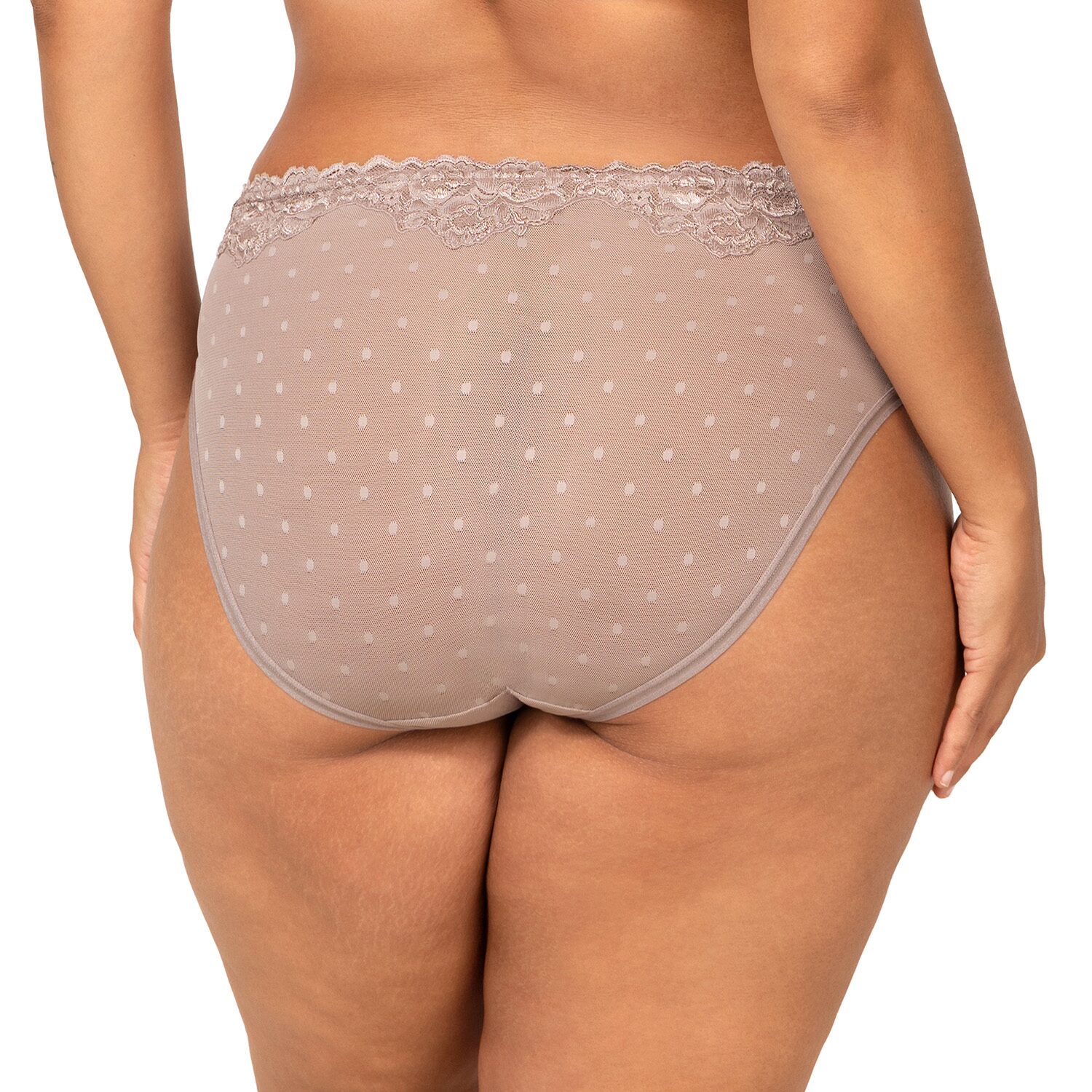 Curvy Couture Sheer Whisper High Cut Brief Panty-1608