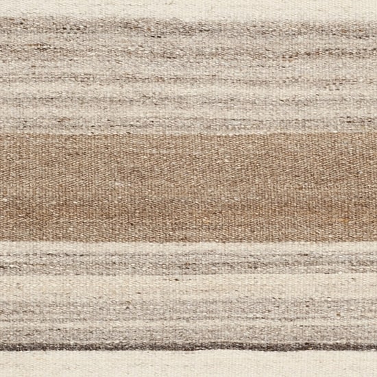 Safavieh Vana Hand Woven Flat Weave Area Rug