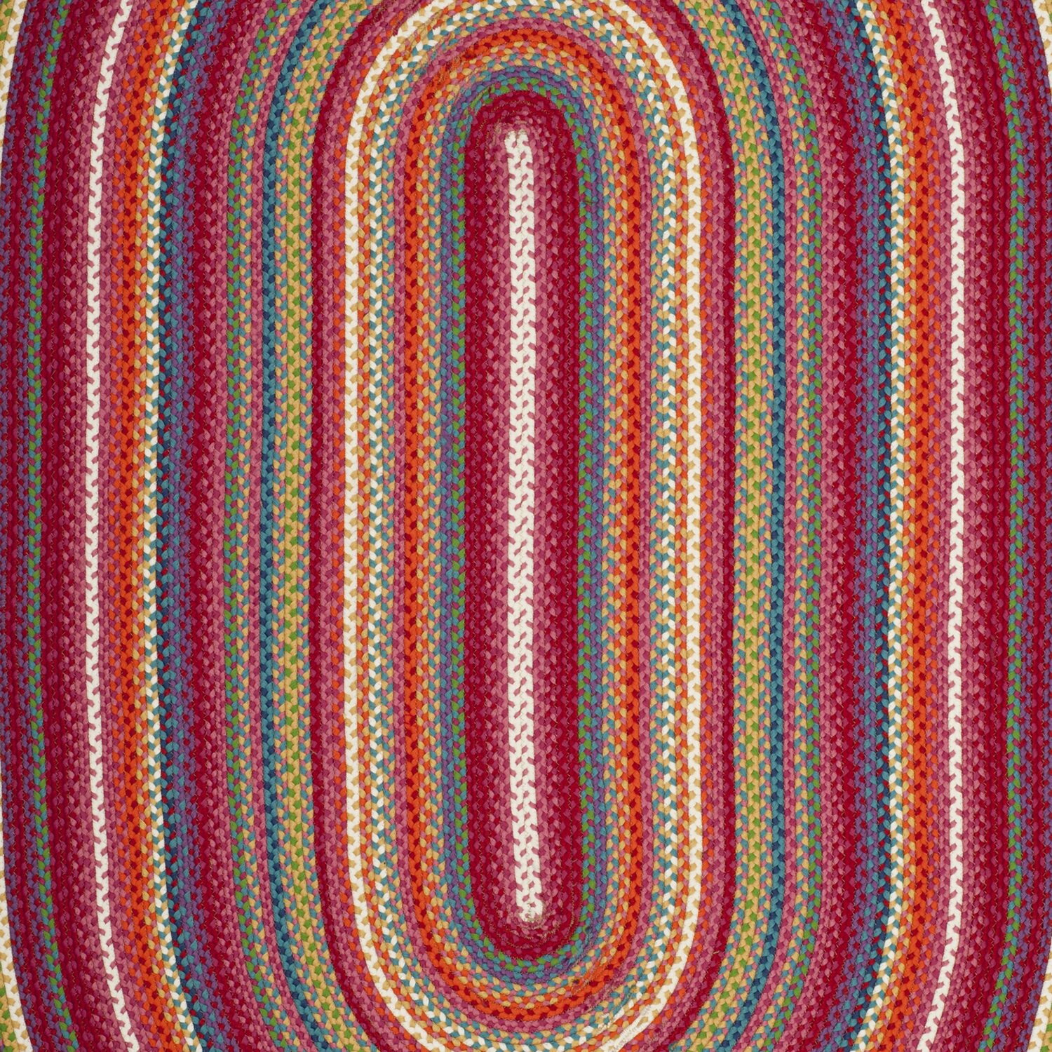 Safavieh Kyran Bordered Braided Rug