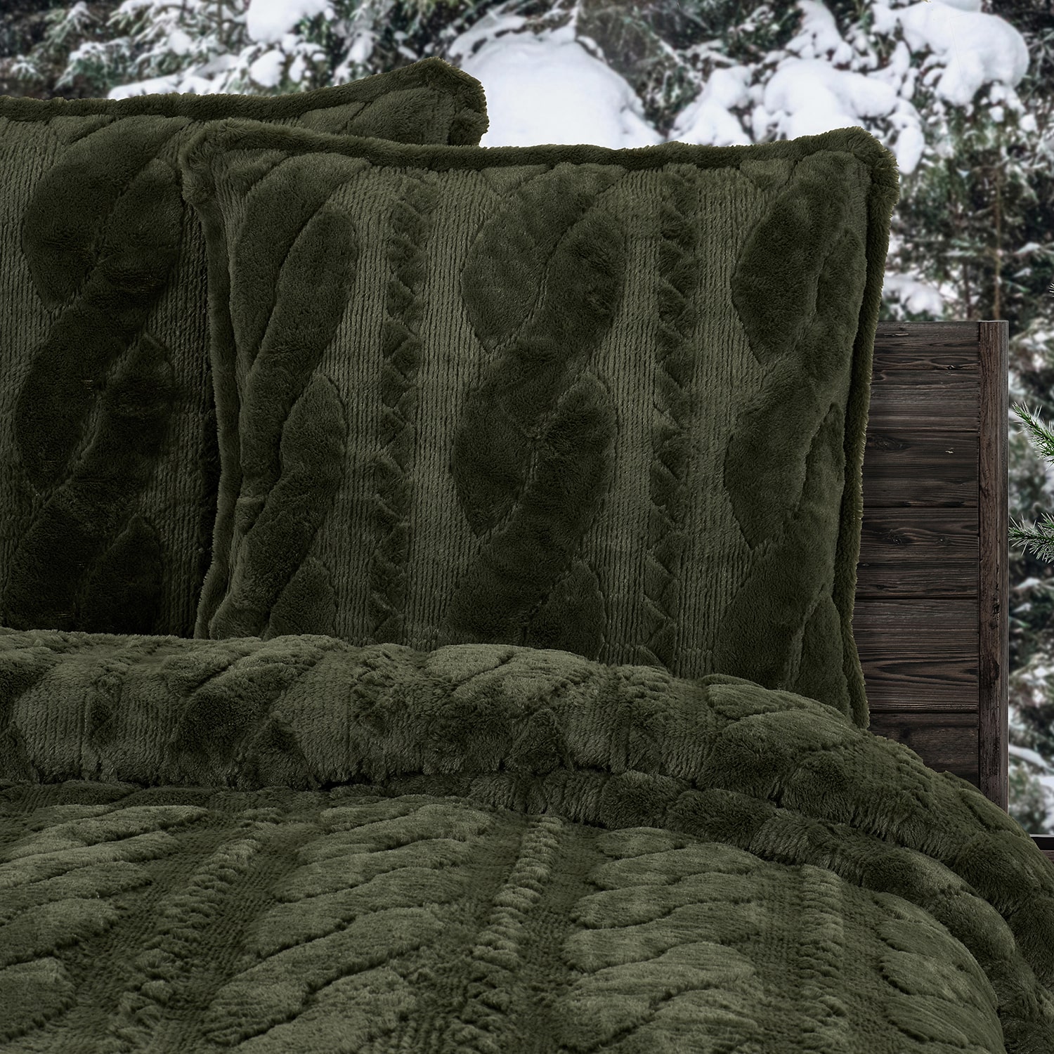 Queen Street Caress Euro Sham