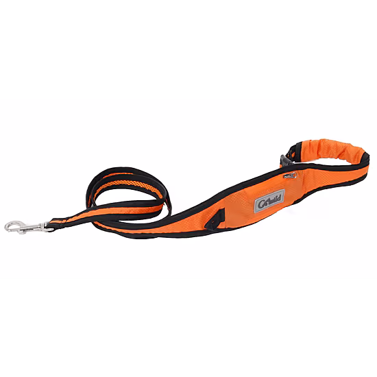Pet Life 4 Ft Dog Leash