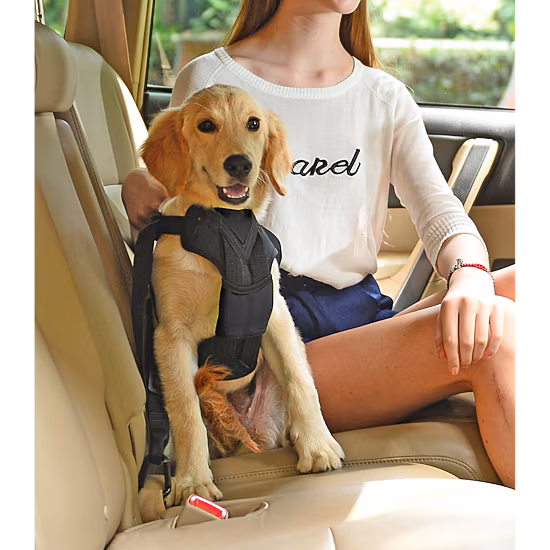 Pet Life Road-To-Safety Pet Dog Car Harness with Detachable Swivle Hook