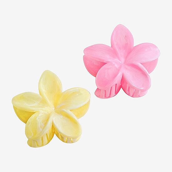 Arizona Hair Clip