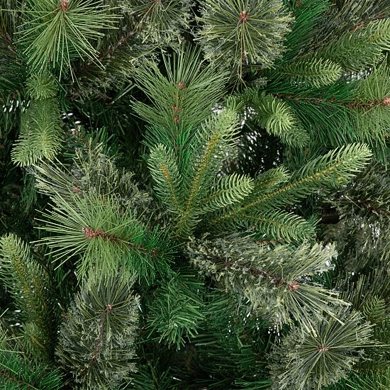 Northlight Kingston Cashmere Artificial  Unlit 6 1/2 Foot Pine Christmas Tree