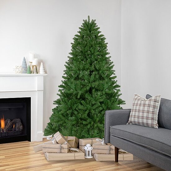 Northlight Full Sierra Noble Artificial Unlit 6 1/2 Foot Fir Christmas Tree