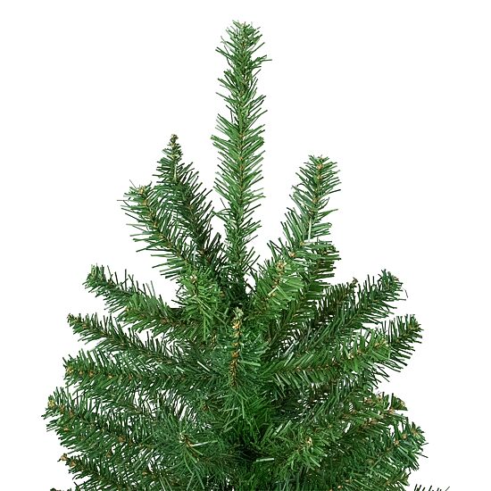 Northlight Winona Artificial  Unlit 6 1/2 Foot Fir Christmas Tree