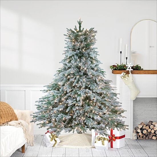 Northlight Full Jasper Balsam Artificial Clear Lights 6 1/2 Foot Pre-Lit Fir Christmas Tree