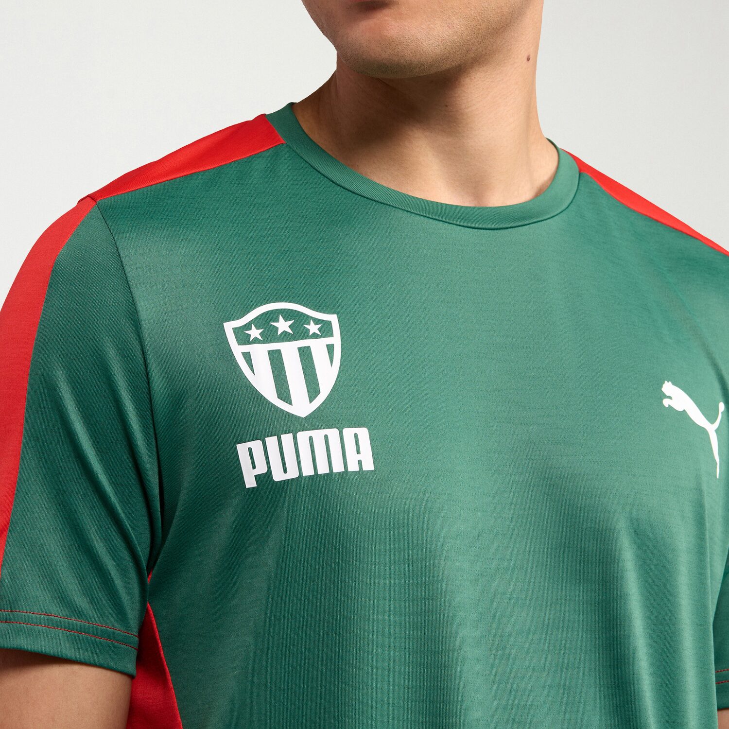 PUMA Mens Crew Neck Short Sleeve Jersey