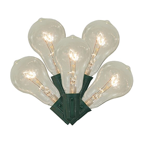 10-Count Clear Transparent PS50 Edison Style Patio Lights  9ft Green Wire