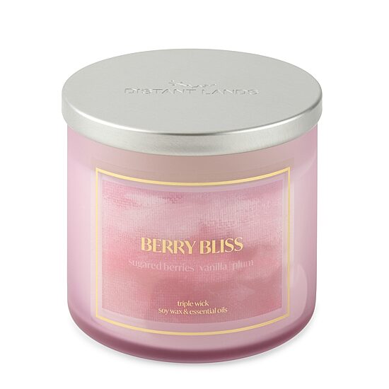 Distant Lands Berry Bliss 3-Wick Scented Jar Candle