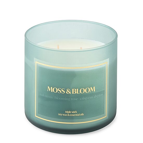 Distant Lands Moss & Bloom 3-Wick Scented Jar Candle
