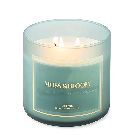 Distant Lands Moss & Bloom 3-Wick Scented Jar Candle