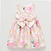 jcpenney princess dresses Disney Princess Dresses