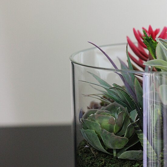 8'' Artificial Mixed Succulent Arrangement in Round Glass Jar