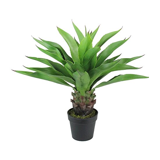 30.5'' Brown and Green Artificial Agave Succulent Plant In a Black Pot