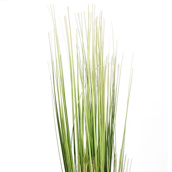 37.75'' Green Artificial Onion Grass Bundle Wrapped with Jute Rope Decoration