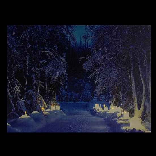 LED Lighted Nighttime in the Woods Winter Scene Canvas Wall Art 15.75"