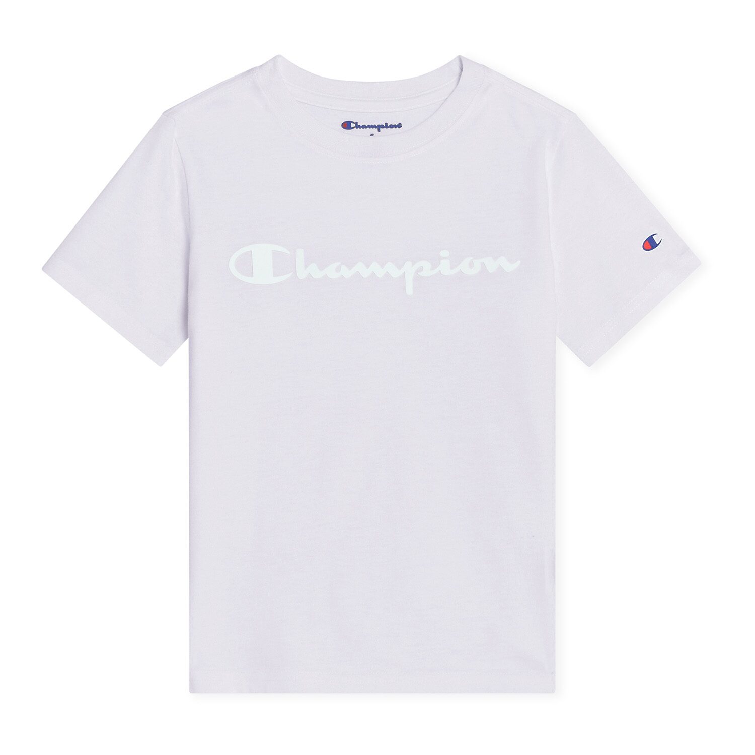 Champion Little Boys Fleece 2-pc. Short Set