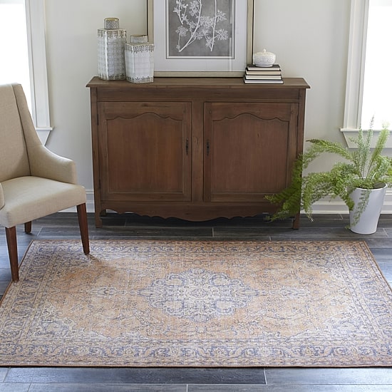 Momeni Afshar 11 Medallion Indoor Rectangular Accent Rug