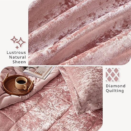 Intelligent Design Isabel Velvet Comforter Set with decorative pillow