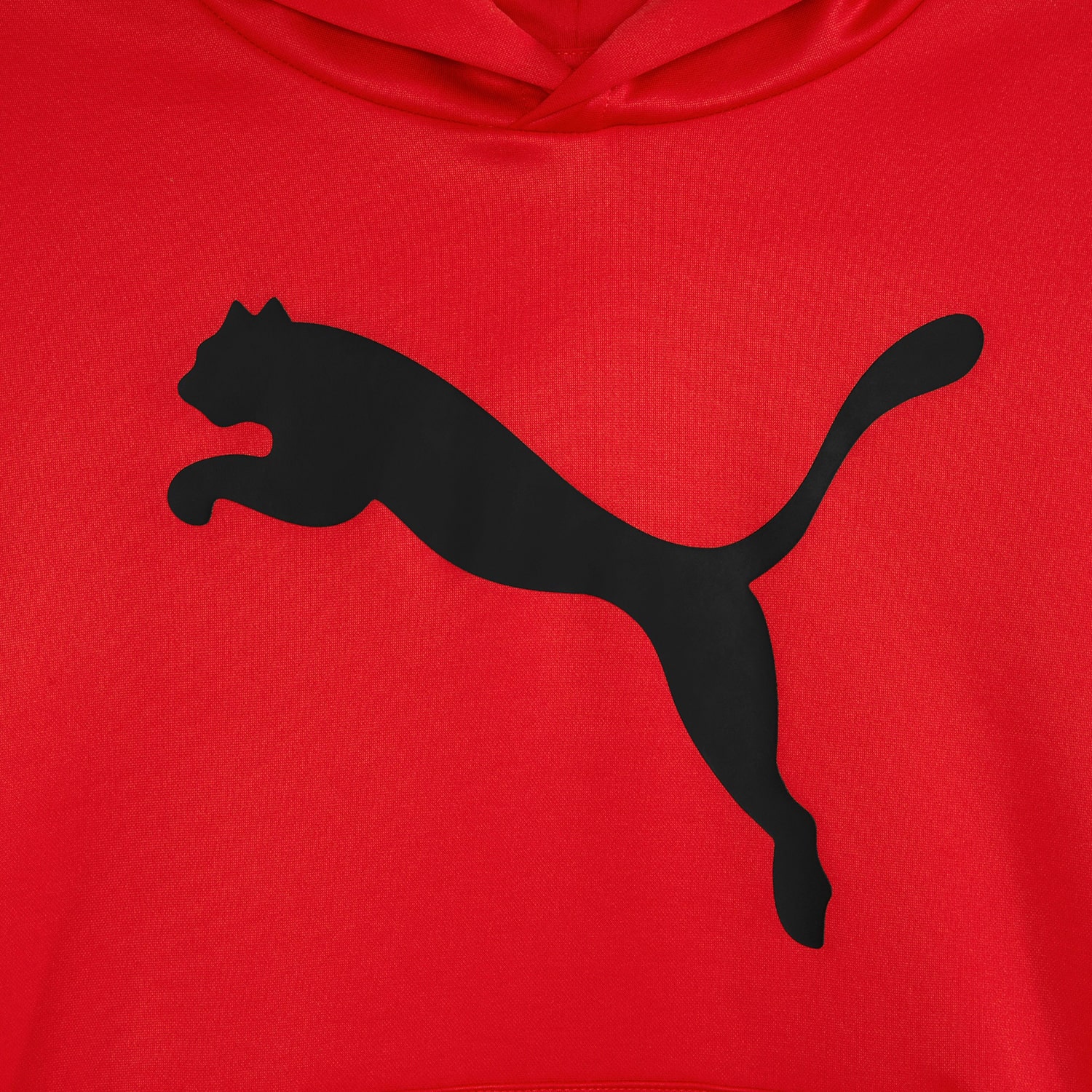 PUMA Big Boys Fleece Hoodie