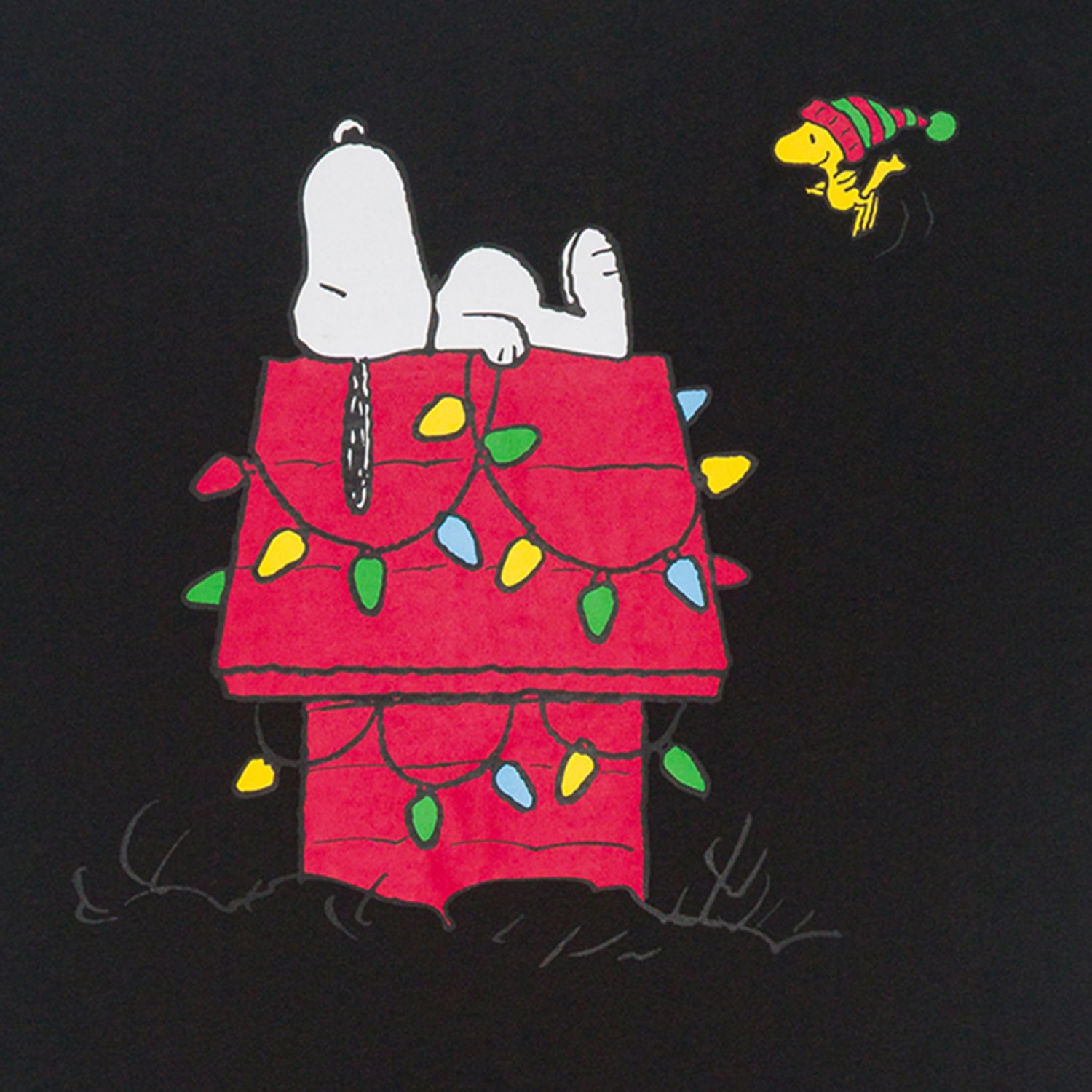 Little & Big Kid Boys Crew Neck Short Sleeve Regular Fit Peanuts Graphic T-Shirt