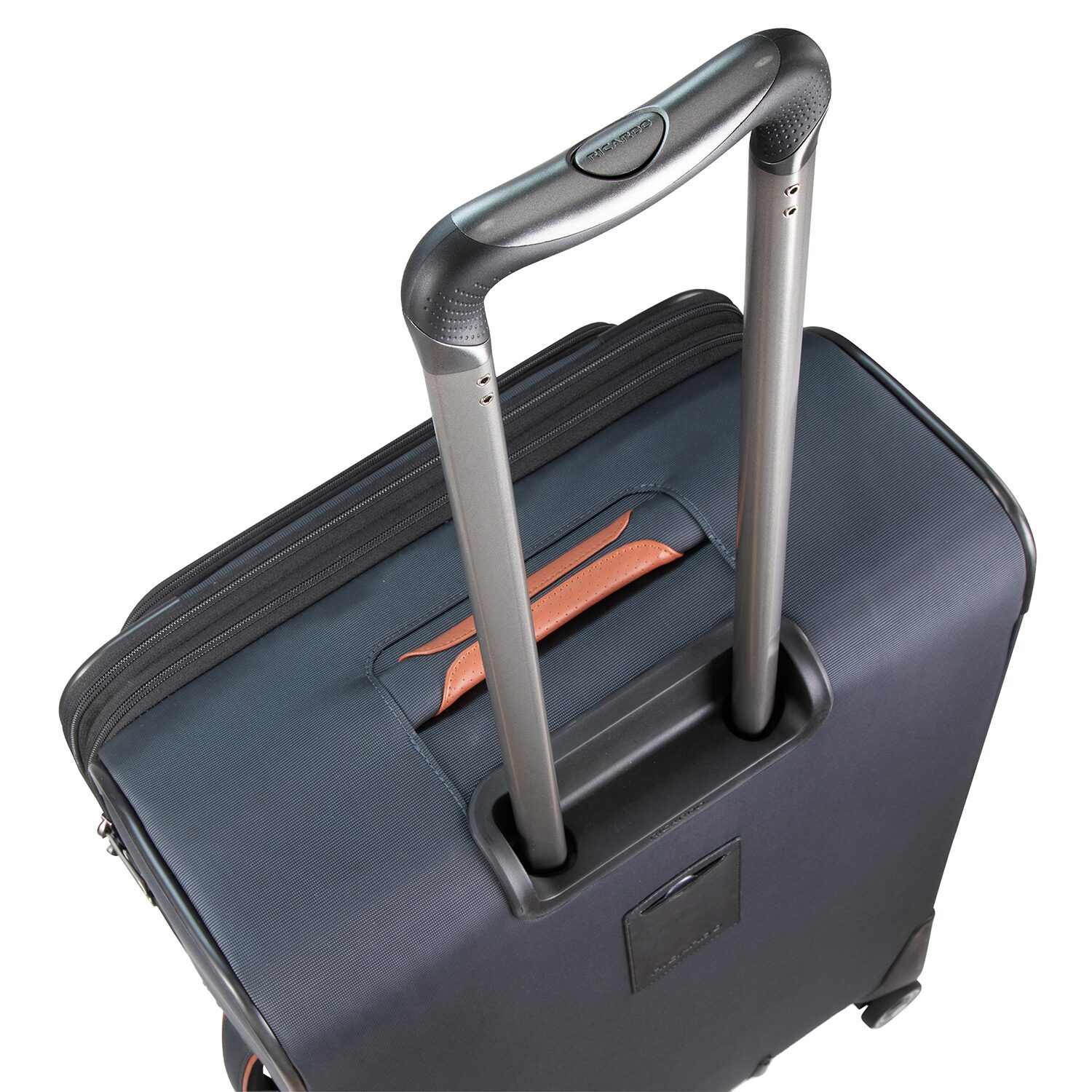 Ricardo Beverly Hills 25 Inch Softside Expandable Checked Spinner Luggage