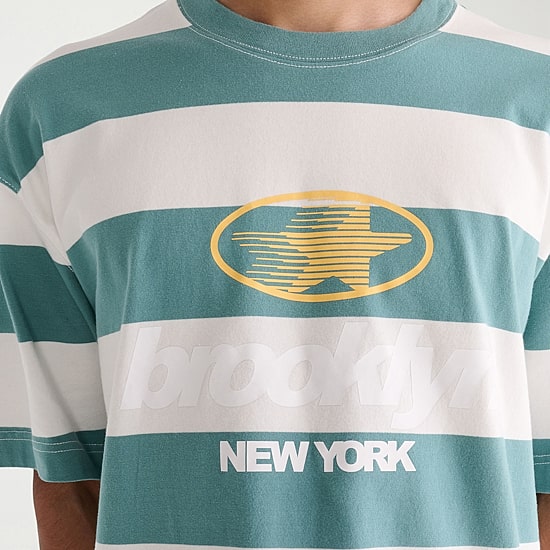 AEROPOSTALE Mens Crew Neck Short Sleeve Boxy Fit Graphic T-Shirt
