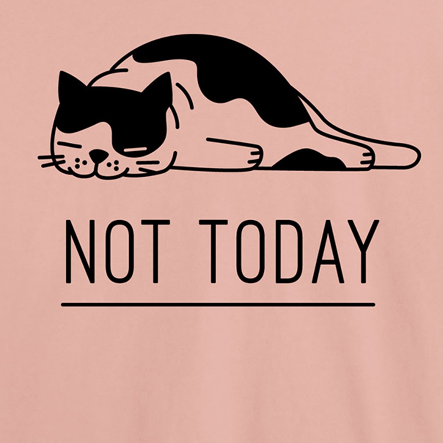 Not Today Cat Womens Juniors Crew Neck Short Sleeve Classic Fit Graphic T-Shirt