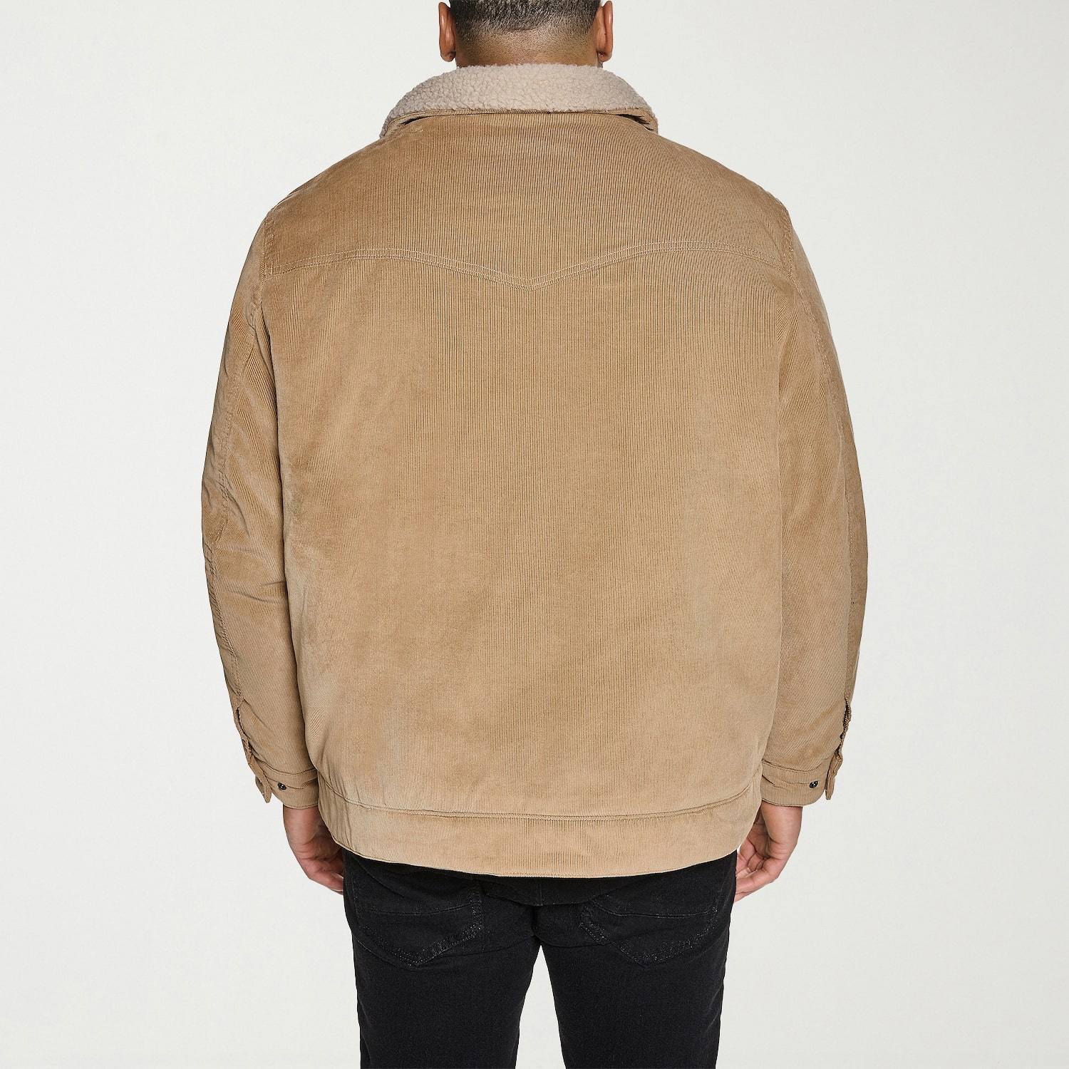Levi's® Mens Sherpa Lined Midweight Big and Tall Trucker Jacket