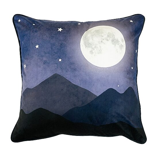 Donna Sharp Wild Retreat 2-pc. Square Throw Pillow