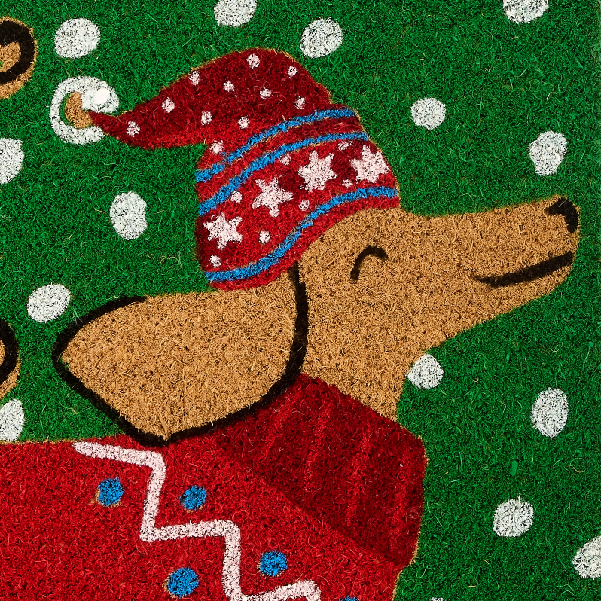 North Pole Trading Co. Dog Indoor Outdoor Rectangular Doormat