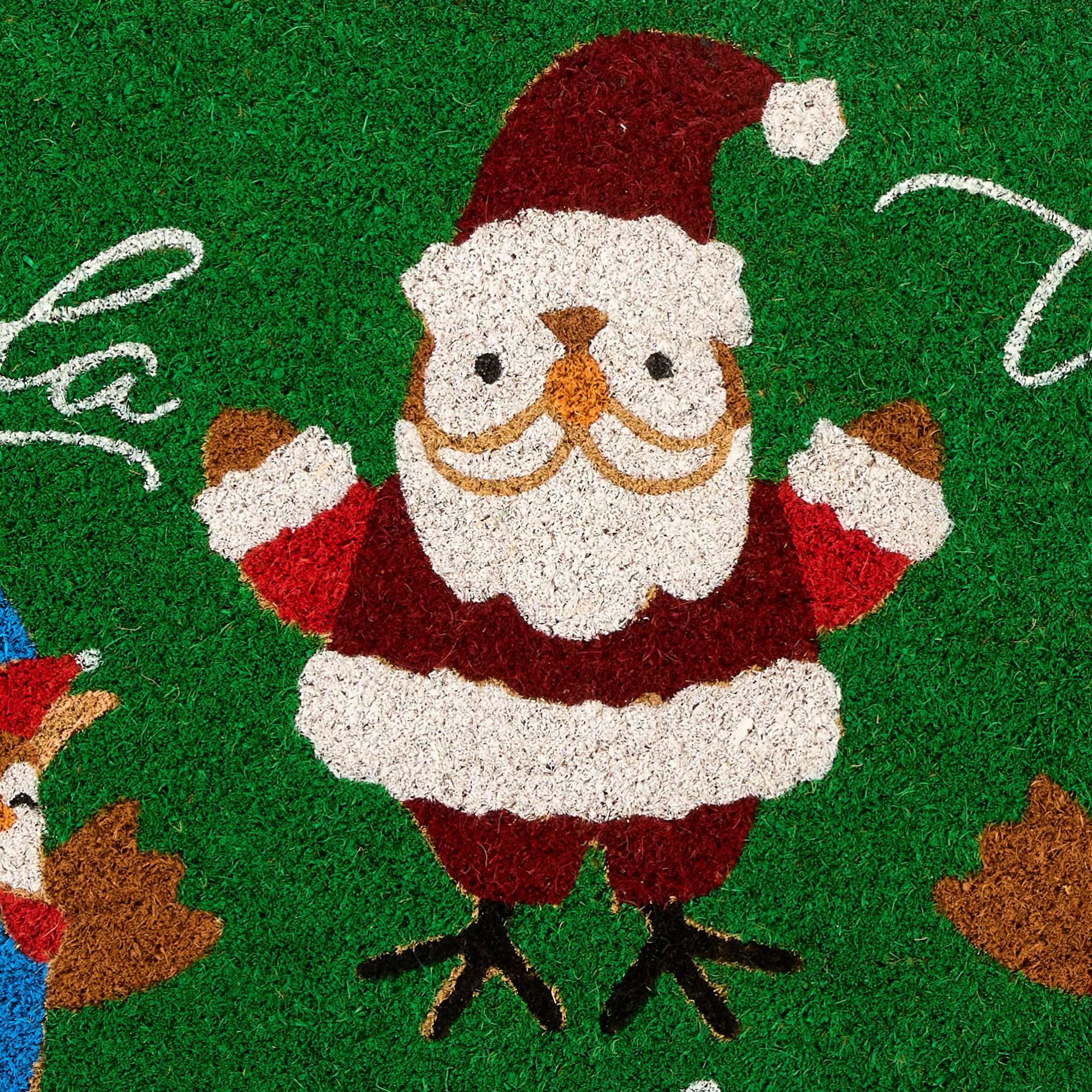 North Pole Trading Co. Birds Indoor Outdoor Rectangular Doormat