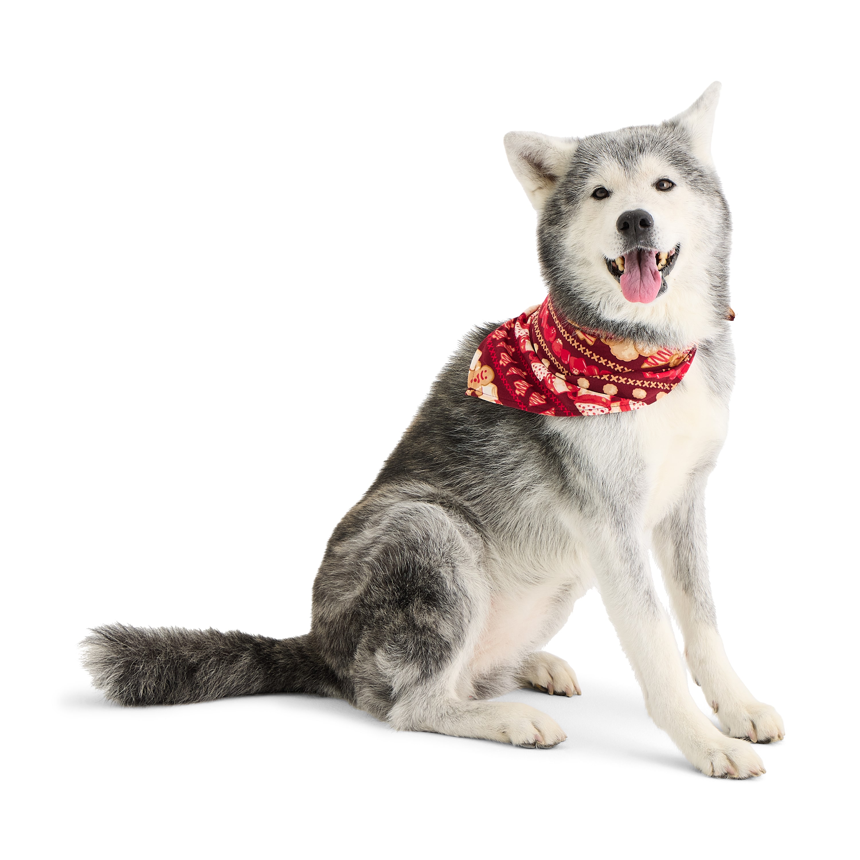 GINGERBREAD PET BANDANA