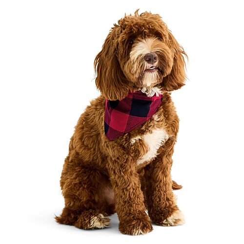North Pole Trading Co Nptc Tartan Plaid Pet Bandana In Red